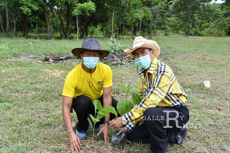 20210526-Tree planting dayt-073.JPG